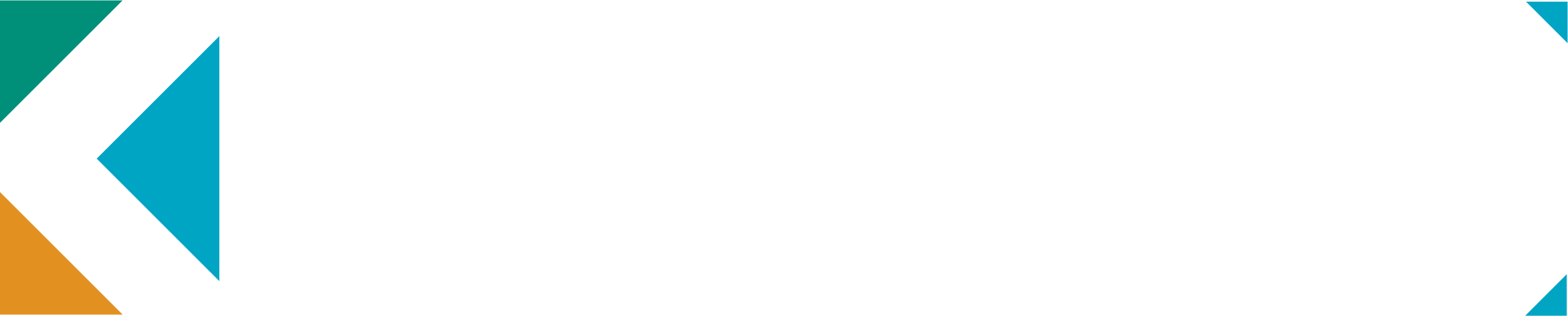 Niklas Naumann Kommunikation - Logo Dark